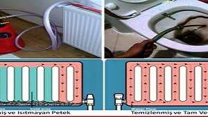 adana petek temizligi 300x168 1